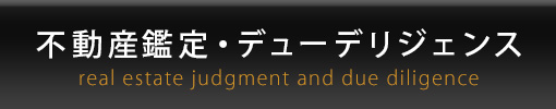 不動産鑑定･デューデリジェンス